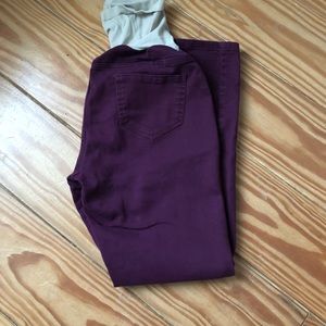 Wine Maternity Pants